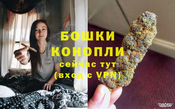 каннабис Белокуриха