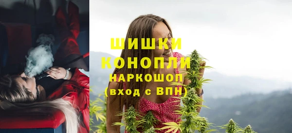 apvp Богданович