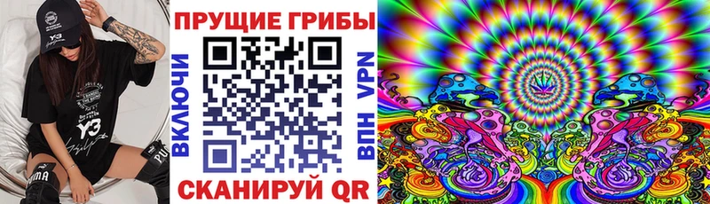 Псилоцибиновые грибы MAGIC MUSHROOMS Богородск